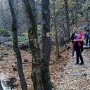 ���� ������, ������������, 53 ���� - ��������� 20 ������ 2019 � ������ ���� ����������