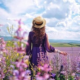 ���� ������, �����-���������, 63 ���� - ��������� 16 ���� 2019