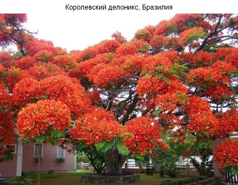 9 a e e  o . ? - 6