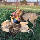 ���� ����� ������. ������ ���� �������. �� ������� ���� ����������