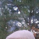 ���� Kein, ���������, 45 ��� - ��������� 9 ��� 2019