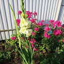 ���� �������, ������ - ��������� 20 ������� 2019 � ������ �����