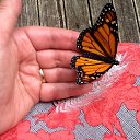���� Nata, ������, 67 ��� - ��������� 19 ������� 2019 � ������ ���� ����������