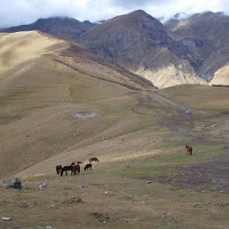 ���� ����, ��������, 33 ���� - ��������� 15 ���� 2019