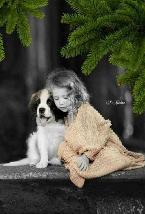       ,       ,    , ... - 6