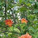 ���� �������, �����-���������, 61 ��� - ��������� 11 ������� 2019 � ������ ���� ����������