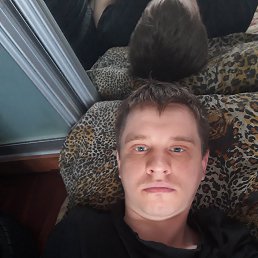 Fox, 34, ,  