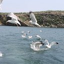 ���� ��������, ����������, 65 ��� - ��������� 25 ���� 2019 � ������ ������� 19�