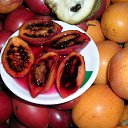 ���� Emo, ����� - ��������� 7 ������ 2019 � ������ ���� ����������