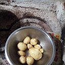 ���� ���, ���, 66 ��� - ��������� 4 ���� 2019 � ������ ���� ����������