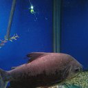 ���� �������, �������, 41 ��� - ��������� 11 ������� 2019 � ������ ���� ����������