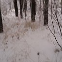 ���� Nik, ������������, 56 ��� - ��������� 11 ������ 2019 � ������ ���� ����������