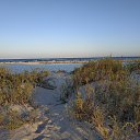 ���� �����, �������, 47 ��� - ��������� 9 ������� 2019 � ������ ���� ����������