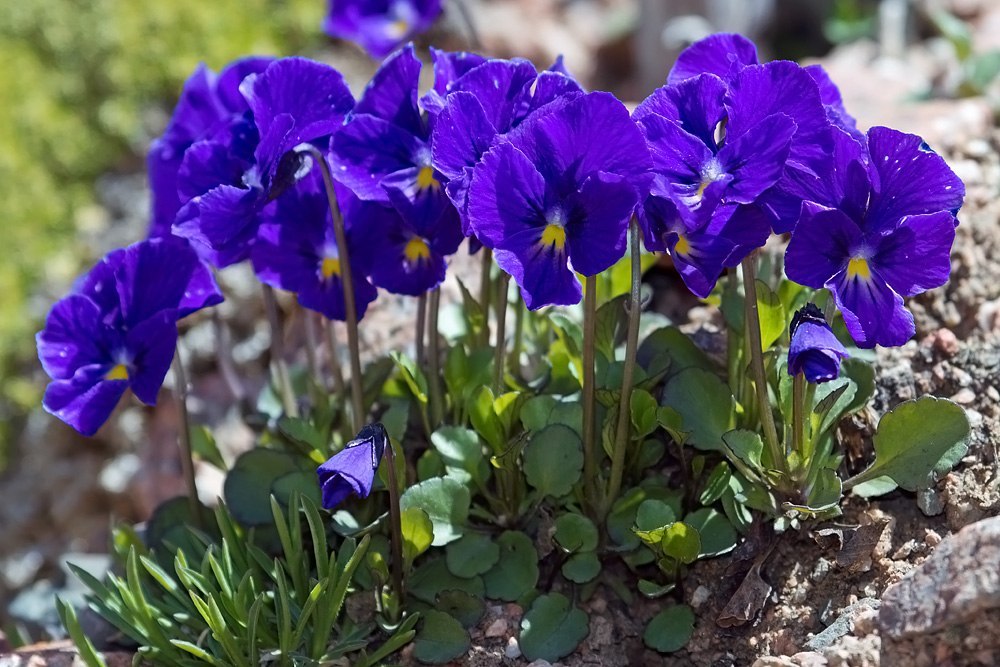   ,    . - 5  2019  10:09