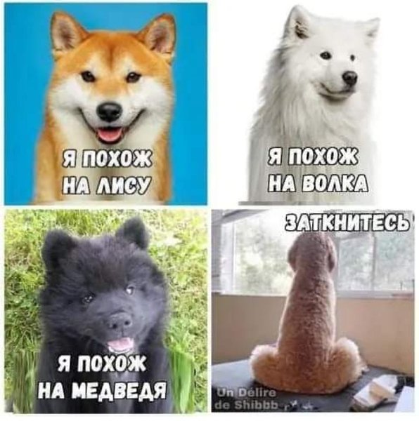 ***Victoria Viktorovna*** - 11  2019  16:37