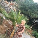 ���� ��������, ���� - ��������� 2 ������� 2019 � ������ ������ ��������