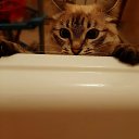 ���� �������, �������, 49 ��� - ��������� 21 �������� 2019 � ������ ������ ��������