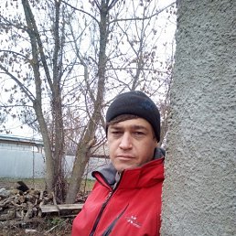 �������, �������, 36 ���