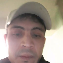 ���� ����, ������, 41 ��� - ��������� 22 ������� 2019