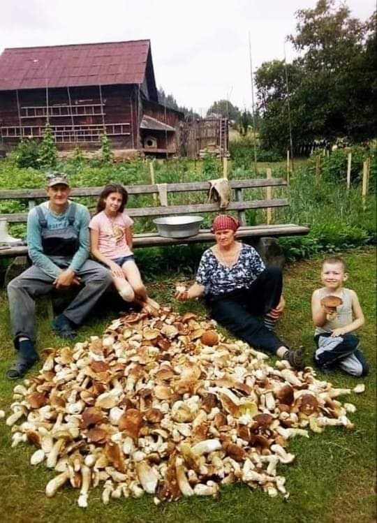 ��� ��� ����� ������??? ���� ������ ��������.