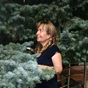 ���� �����, ��������� - ��������� 4 �������� 2019 � ������ ���� ����������