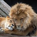 ���� ����, ���� - ��������� 1 ���� 2019 � ������ ���� ����������