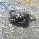 ���� �������, �����������, 47 ��� - ��������� 22 ������� 2019 � ������ ���� ����������