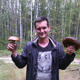 ���� ����, �����, 54 ���� - ��������� 19 ������� 2019