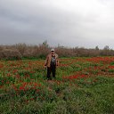 ���� ��������, ����� - ��������� 7 ������ 2019 � ������ �UZGTL�