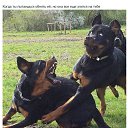 ���� ������, �����-��������� - ��������� 17 ���� 2019 � ������ ������ ��������