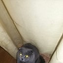 ���� �����, ���� - ��������� 25 ������ 2019 � ������ ������ ��������