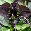 ���� Nik, ������, 70 ��� - ��������� 11 ������ 2019