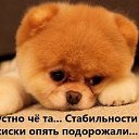 ���� ������, �������, 61 ��� - ��������� 18 ���� 2019 � ������ ���� ����������