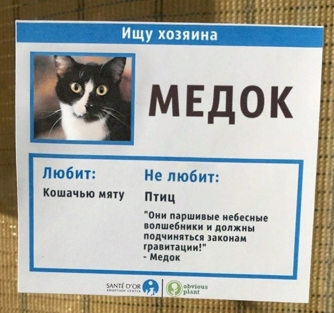       ,        - 7