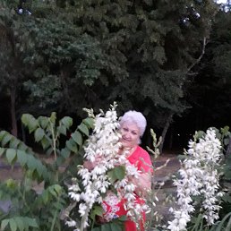 ���� ����, ��������� - ��������� 6 ������� 2019