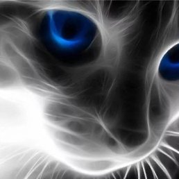 ��������, ������ ��������