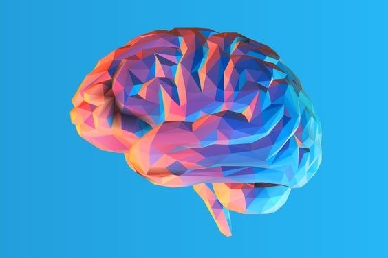 Интересные цитаты нейролингвиста Татьяны Черниговской о человeческом мозге.1. Некоторые все еще ...