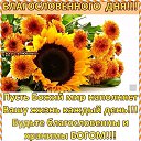 ���� �����, ����, 48 ��� - ��������� 6 ������ 2019 � ������ ���� ����������