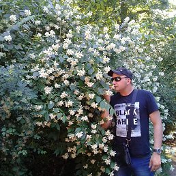 ������������ ���. ����. ����