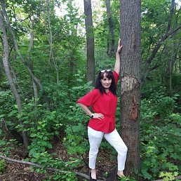 ���� ���, ���, 52 ���� - ��������� 11 ���� 2019