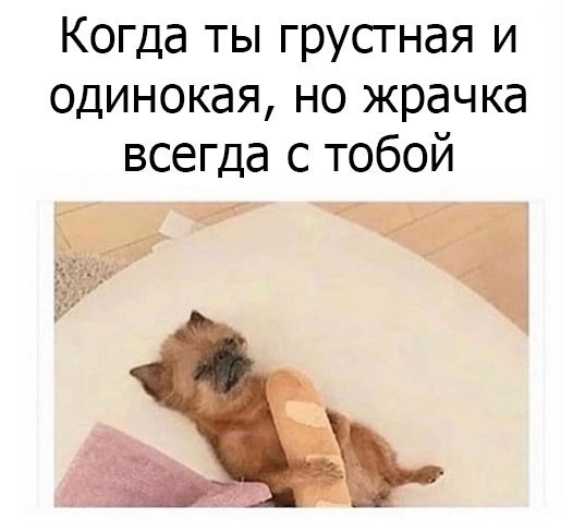    - 10  2019  03:37