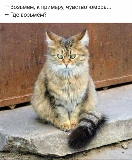 &#128514;&#128514;&#128514;  . ..