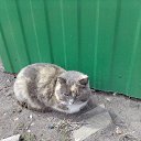 ���� ����, ���� - ��������� 24 ��� 2019 � ������ ���� ����������