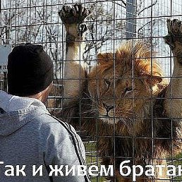 Andre, ������