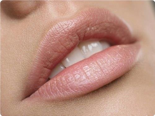 ���op �o�a��.P���e �o�o�� � ��e��a� �o�a.---------------------------------------------��e�a �o�a��, ...