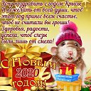 ���� ����, ������� - ��������� 1 ������ 2020 � ������ ���� ����������