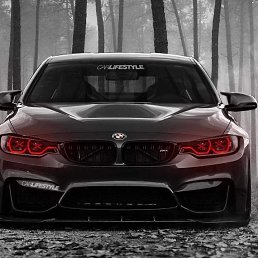 ���� ��������, ������, 33 ���� - ��������� 13 ���� 2019