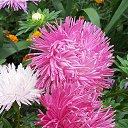 ���� ������, ���� - ��������� 8 �������� 2019 � ������ ���� ����������