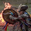 ���� ����, �����������, 43 ���� - ��������� 8 ������ 2019 � ������ ���� ����������