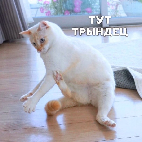     - 3